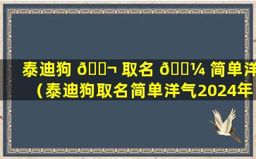 泰迪狗 🐬 取名 🌼 简单洋气（泰迪狗取名简单洋气2024年）